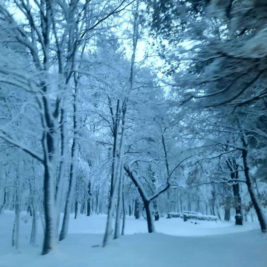 B&B Anthea Linguaglossa Bagian luar foto