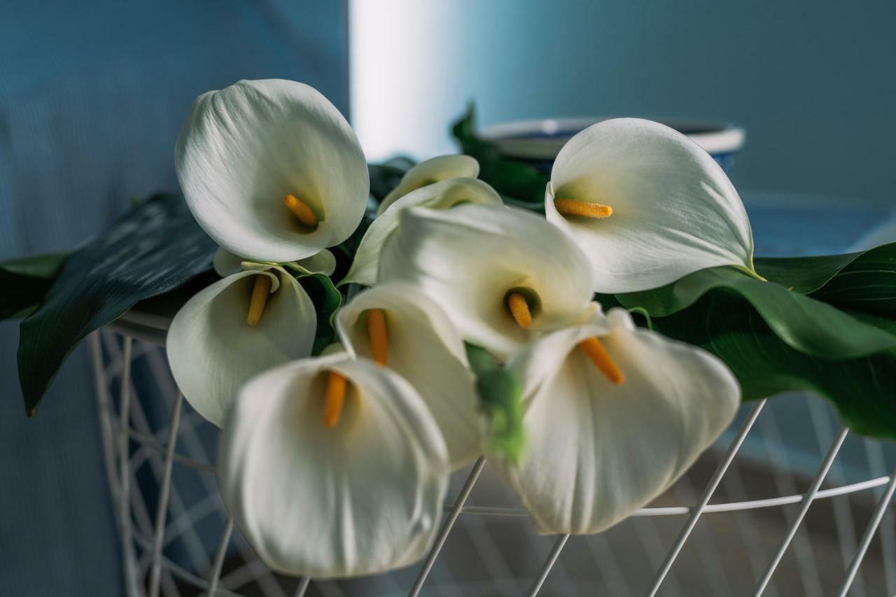 B&B Anthea Linguaglossa Bagian luar foto